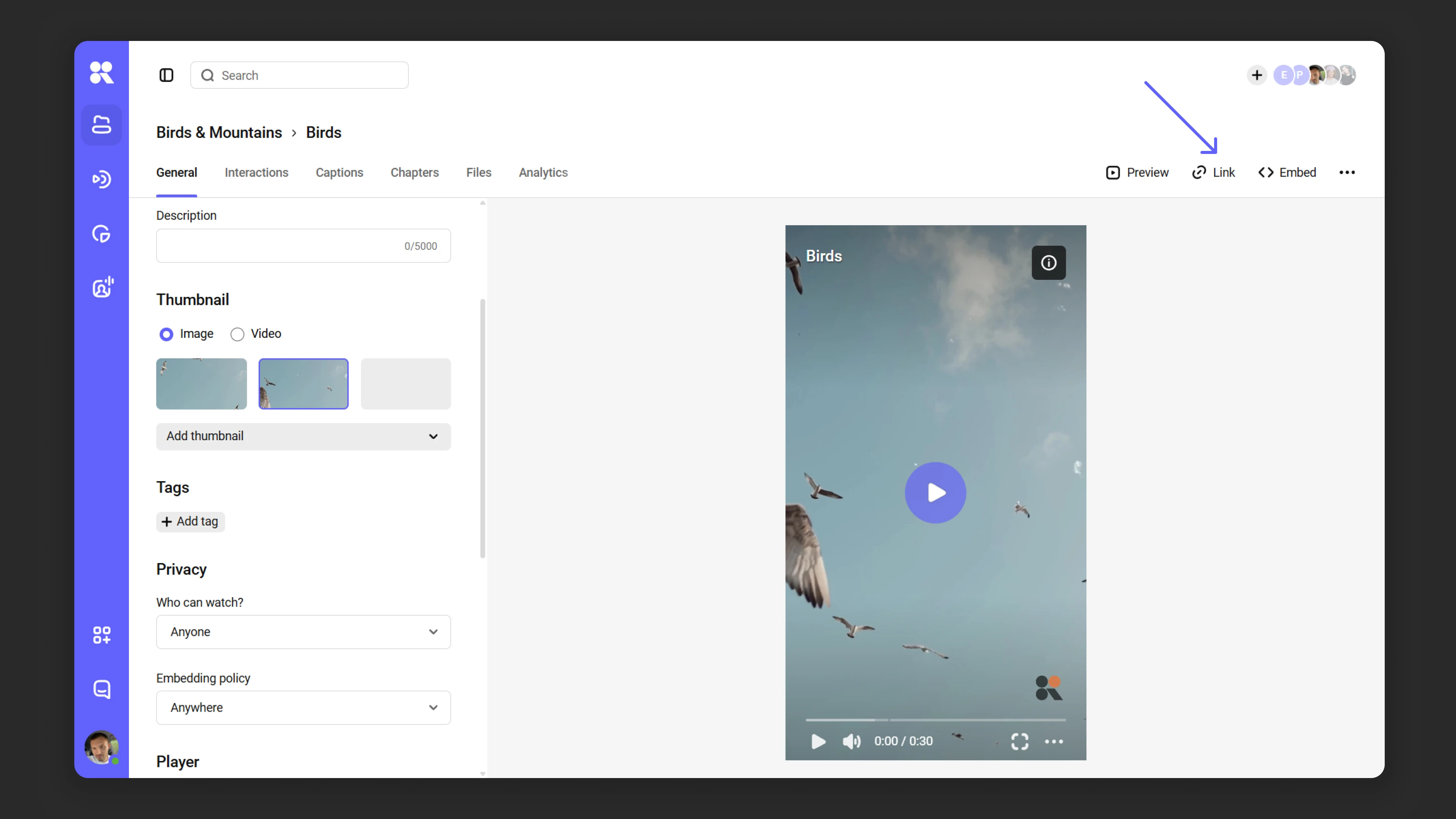 Sharing access options for a media file