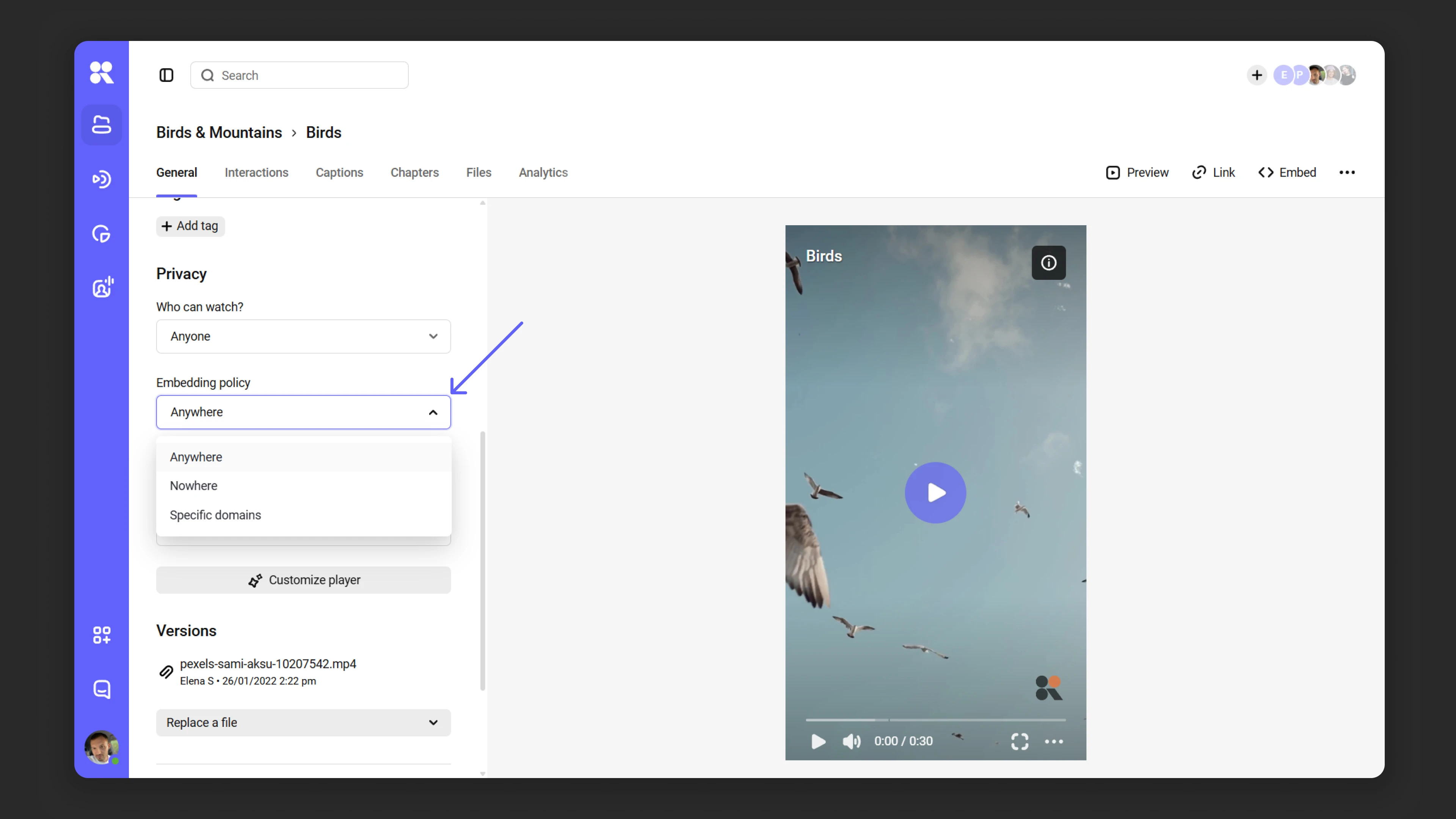 Embedding domain settings for a media file