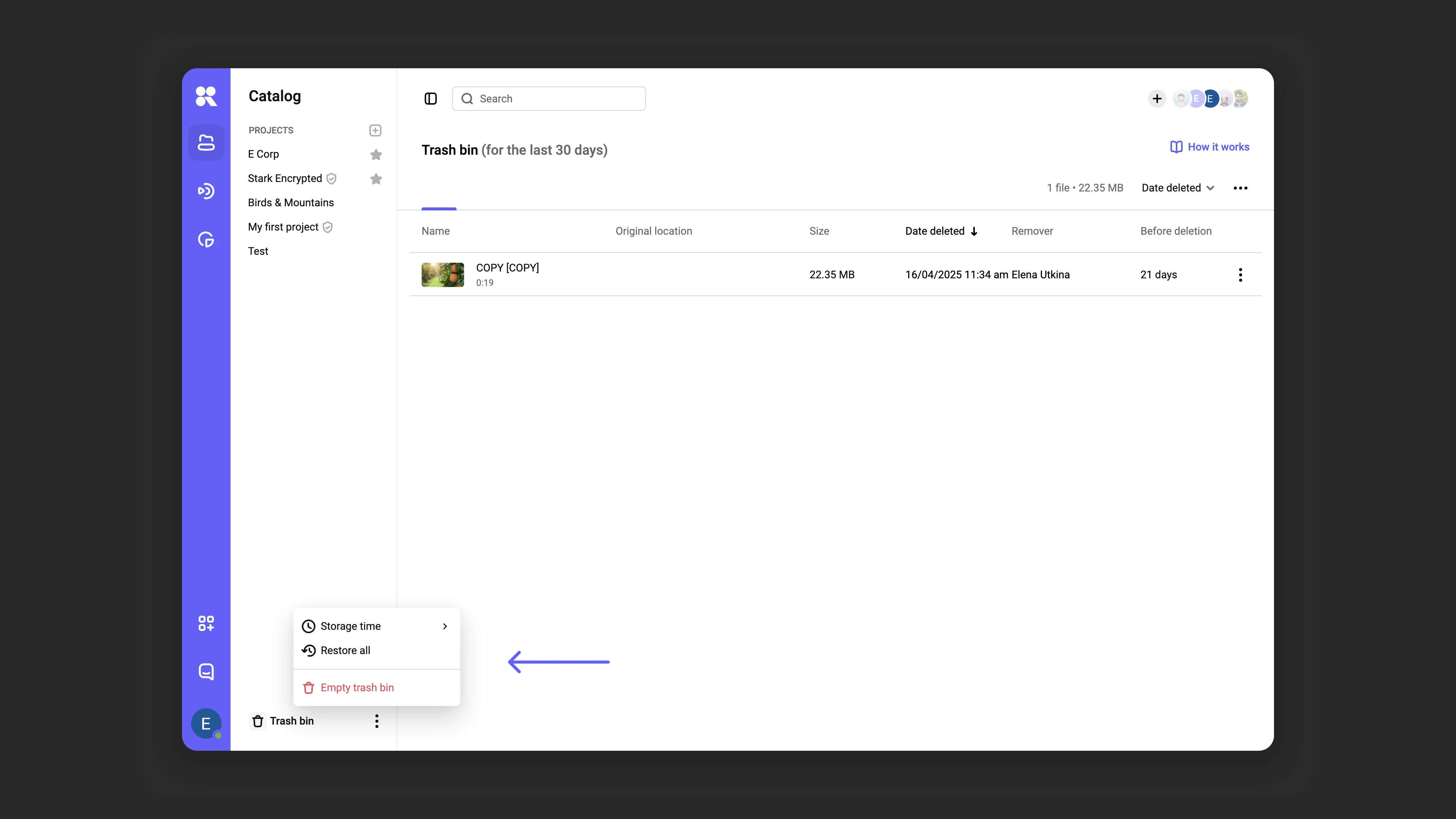 Selectively restoring files from the bin