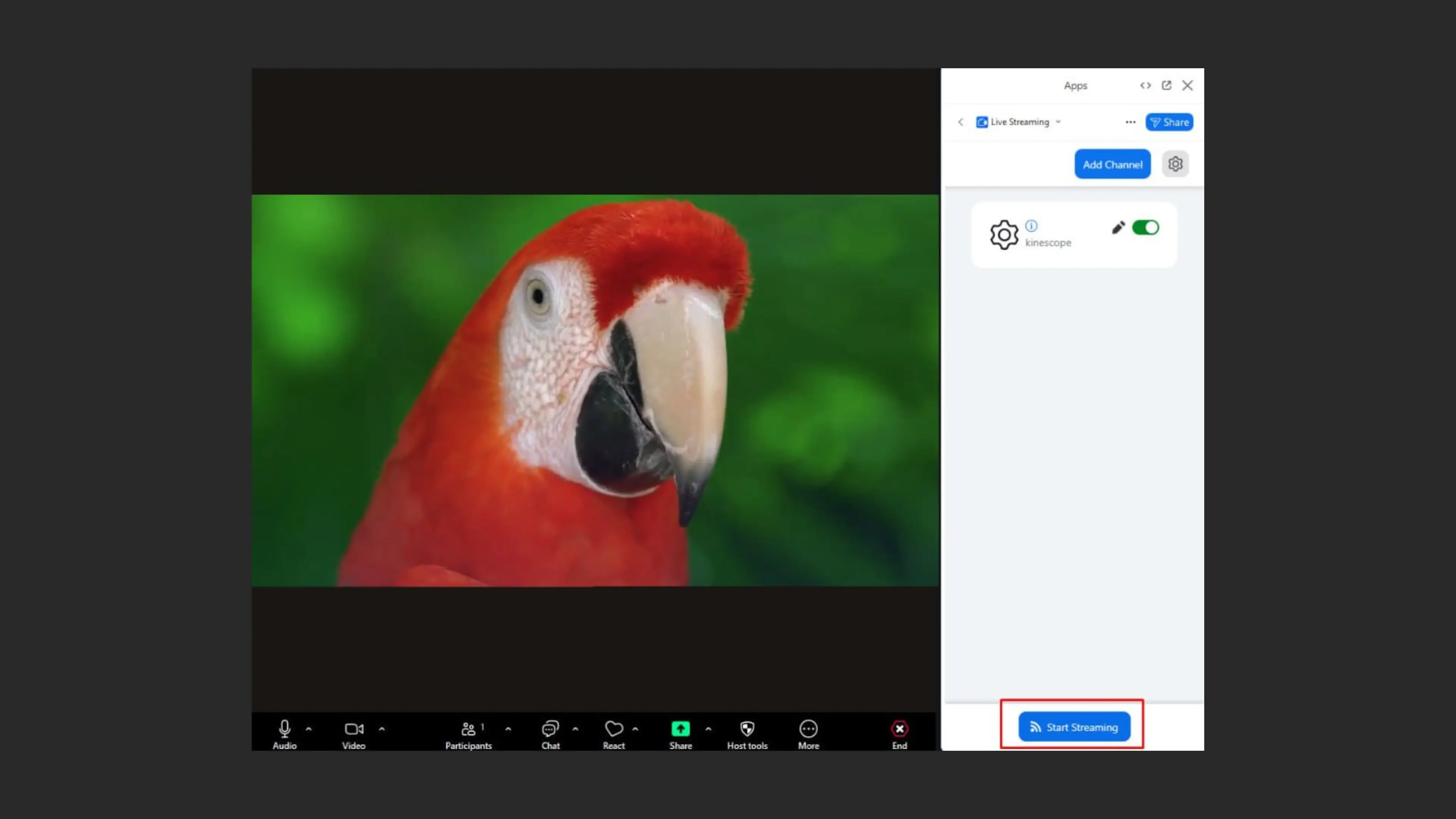 Starting the stream in Zoom