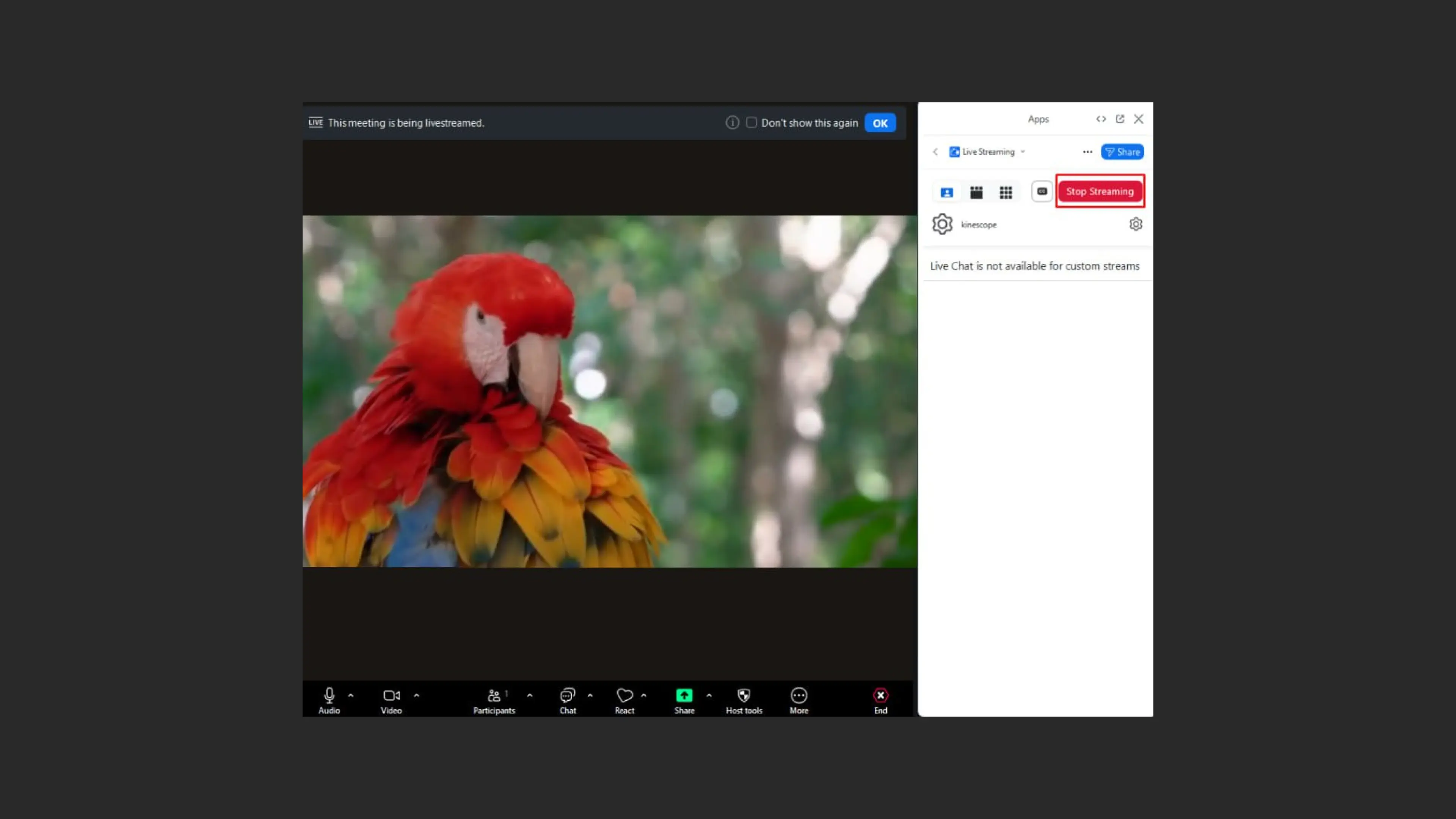 Stop streaming in Zoom