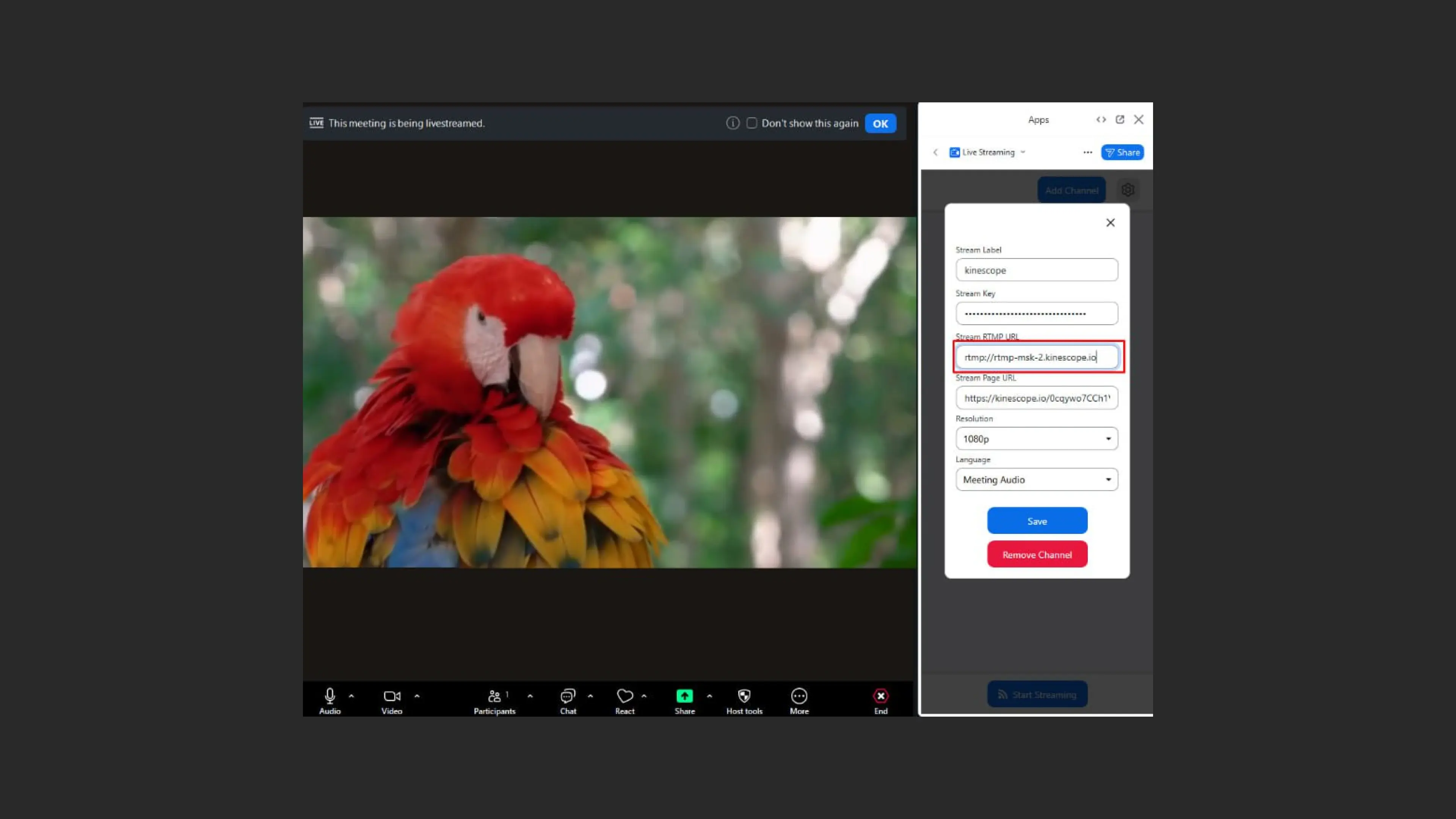 Stream settings form with RTMP URL field in Zoom