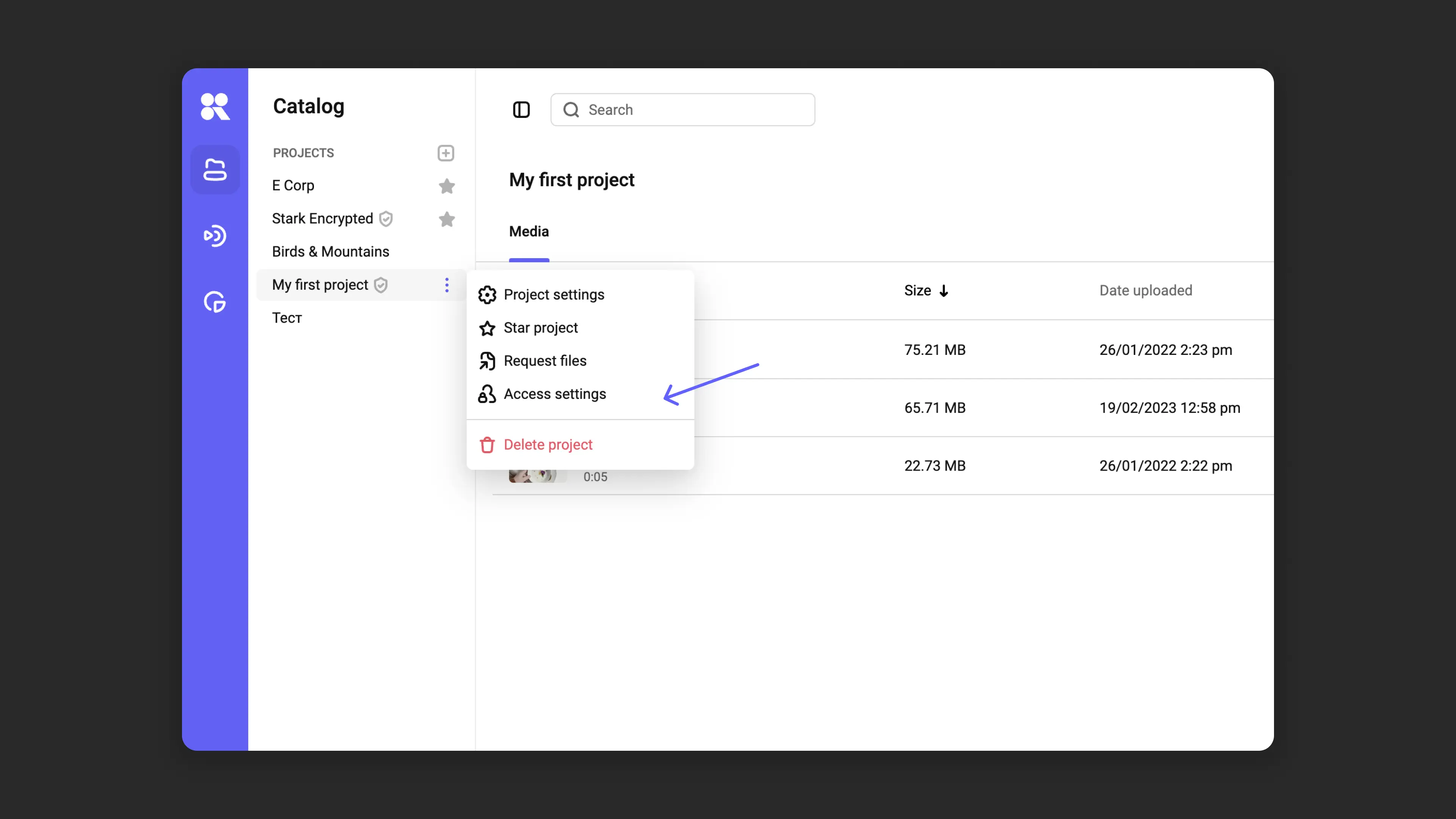 Project access settings