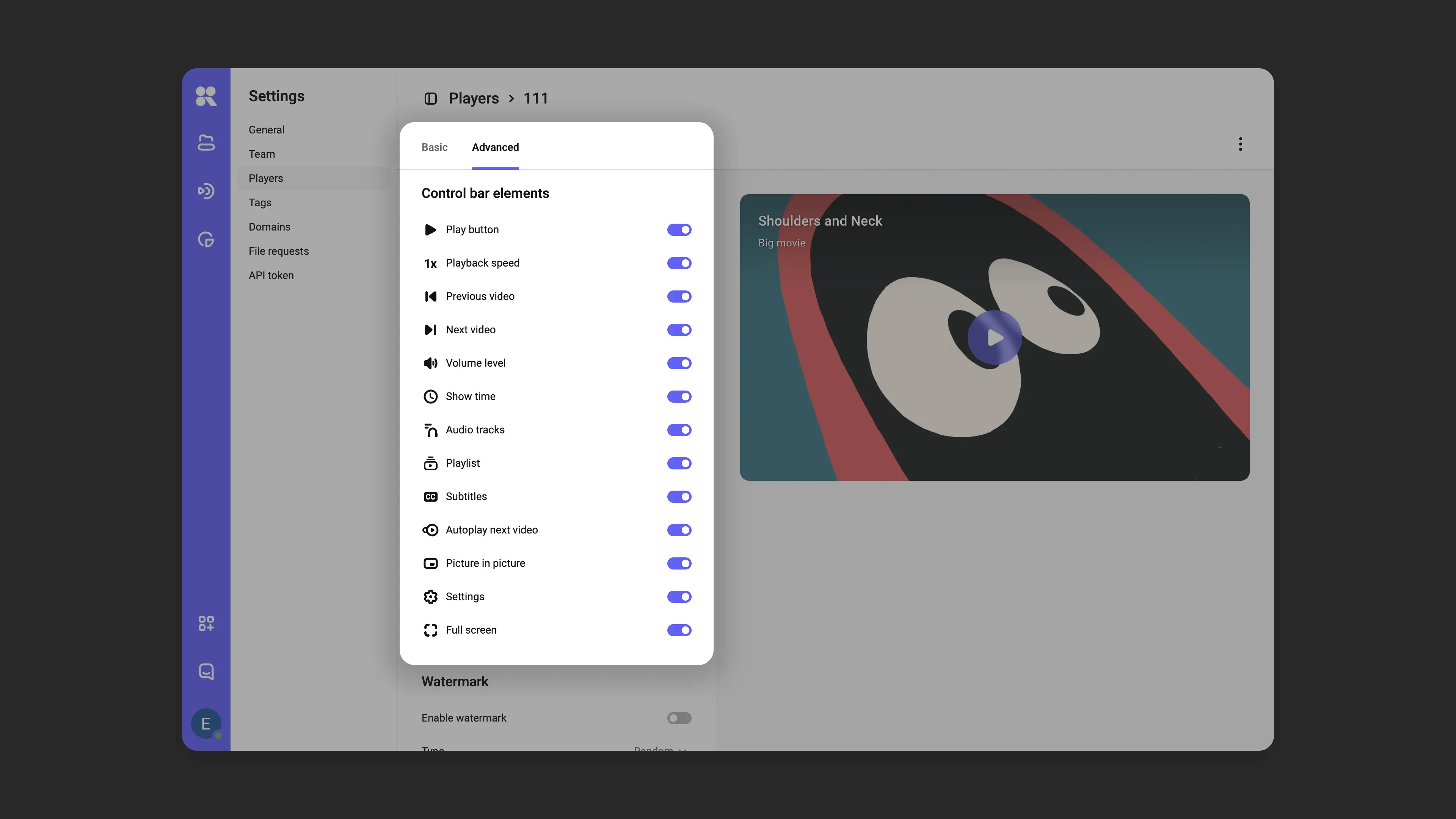 Player advanced settings interface