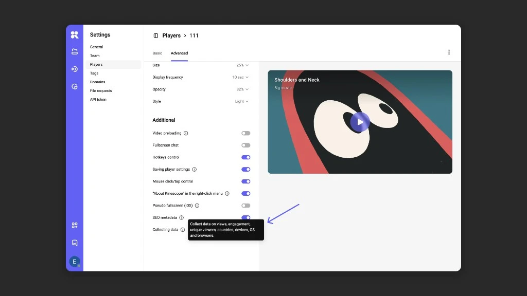 Player analytics and SEO optimization settings