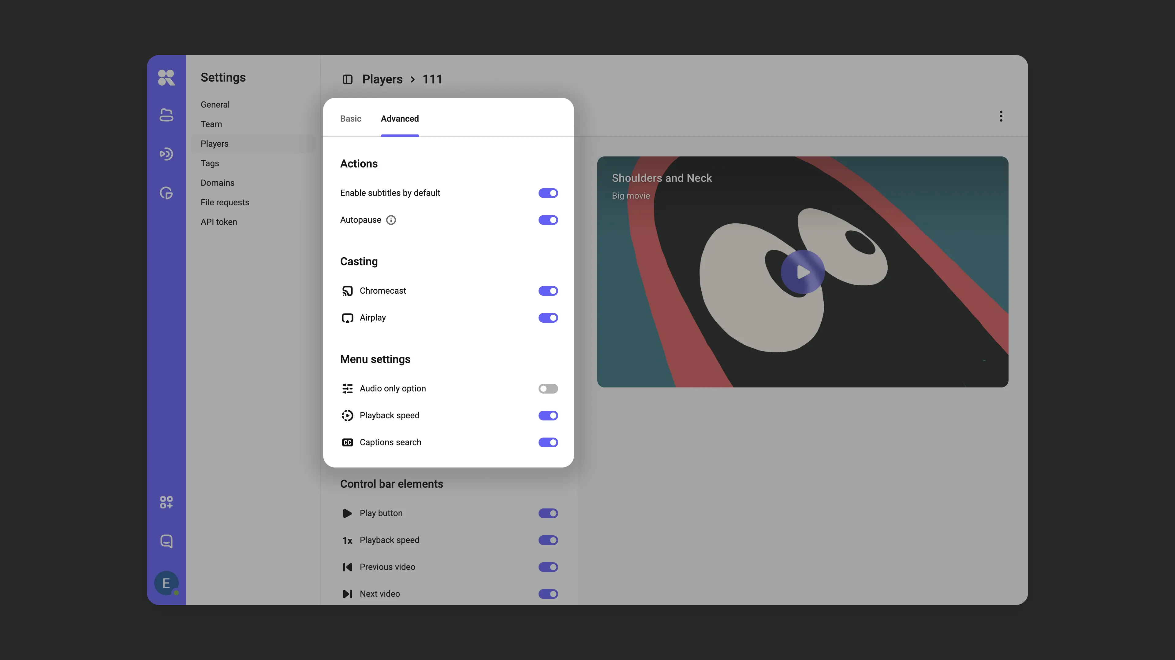 Player element display settings during playback