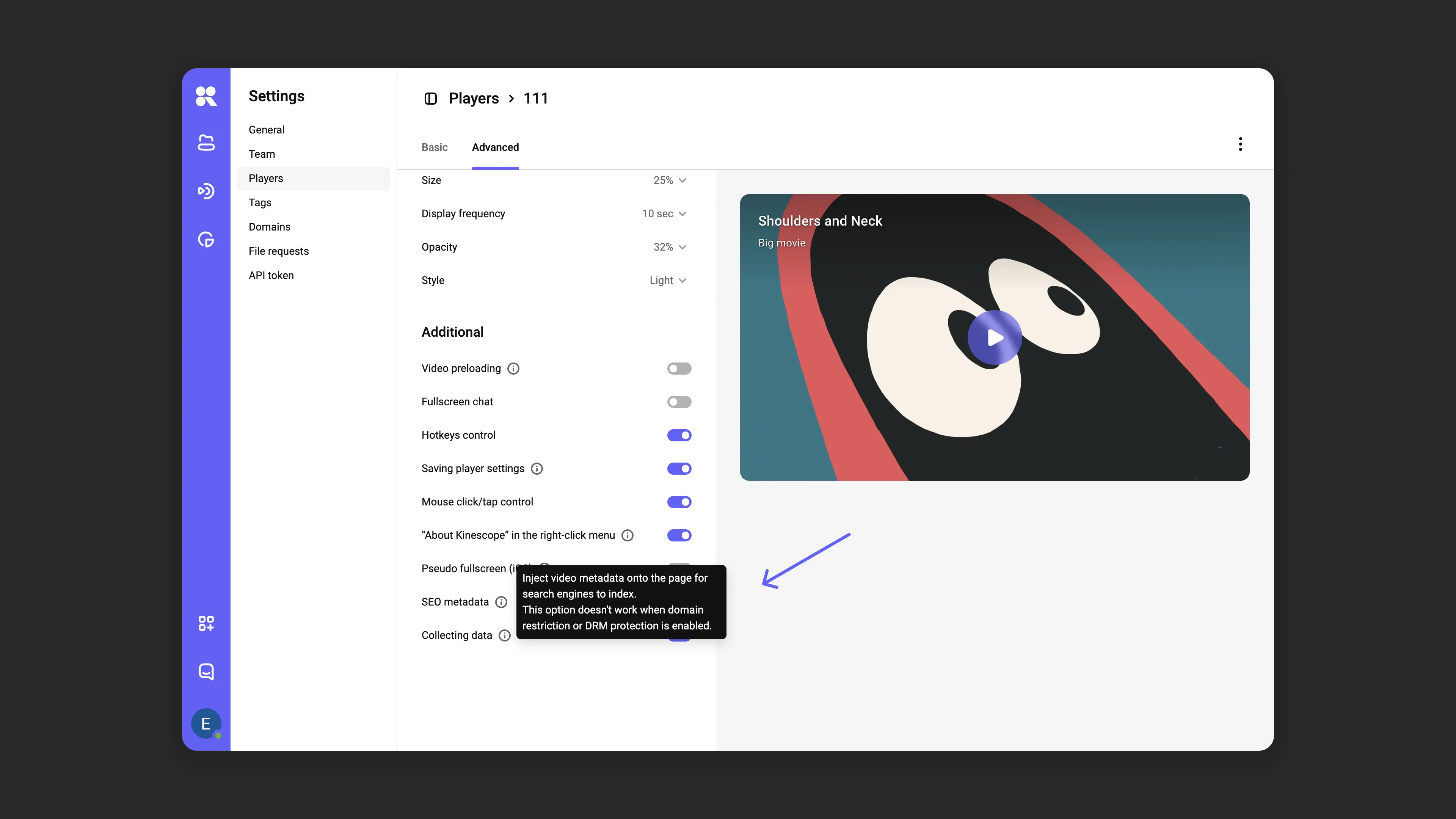 Player SEO optimization settings